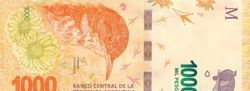 1000阿根廷比索