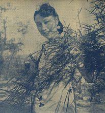 路明[三四十年代著名影星]