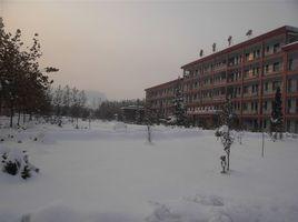 賈莊中學 賈莊中學