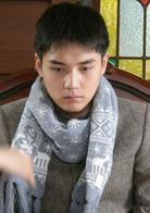 野玫瑰不流淚[2008年劉曉慶、田麗主演電視劇]