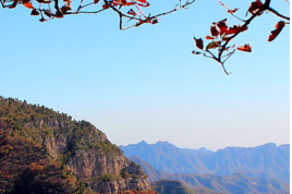 仙台山森林公園 仙台山森林公園