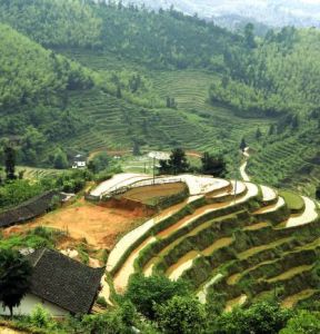 上堡梯田