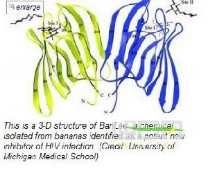 香蕉凝集素 香蕉凝集素