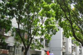 香河園中里 香河園中里