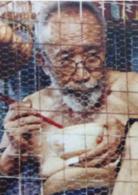 籠民[1992年張之亮執導電影]