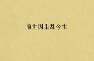 前世因果亂今生 前世因果亂今生