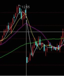 股權登記日 股權登記日