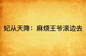 妃從天降:麻煩王爺滾邊去 妃從天降:麻煩王爺滾邊去