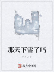 那天下雪了嗎