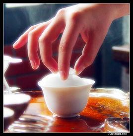 消正鐵觀音 消正鐵觀音