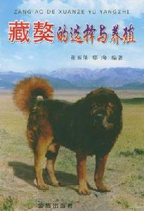 藏獒的選擇與養殖