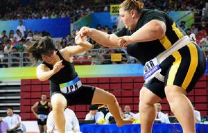 2010年北京首屆武博會無差別賽