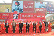 德力西電氣有限公司