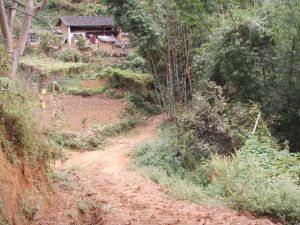 麻力寨自然村 麻力寨自然村