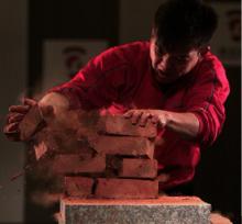 武術鐵砂掌黃林海