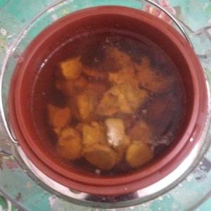 人參鹿茸雞湯 人參鹿茸雞湯