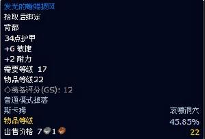 發光的蜥蜴披風 發光的蜥蜴披風