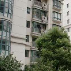 香港新世界花園 香港新世界花園