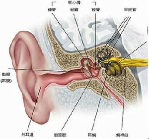 助聽器[輔助聽力工具]