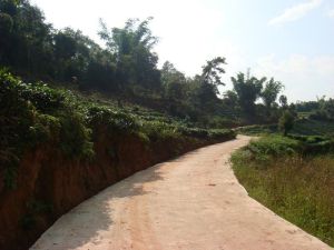 老爪箐村 老爪箐村