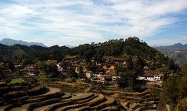 東源村[浙江省麗水市景寧縣梧桐鄉下轄村]