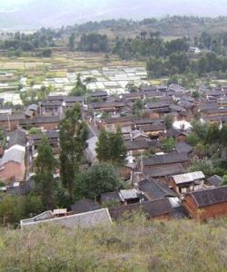 龍營自然村 龍營自然村