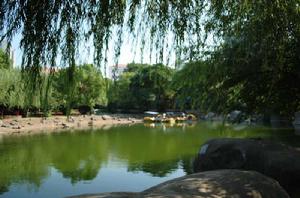 長沙桂花公園 長沙桂花公園