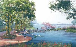 心圩江公園 心圩江公園