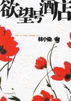 欲望號酒店 欲望號酒店