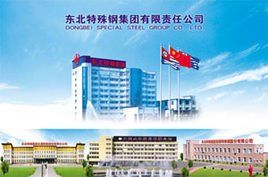 Dongbei Special Steel