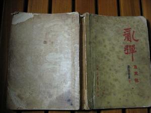 亂彈及其他 亂彈及其他