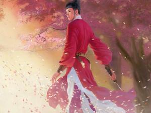 少俠[對古代年輕俠客的稱呼]