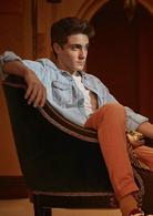 暴君[2014年大衛&middot;葉茨執導美劇]