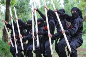 忍者部隊 忍者部隊