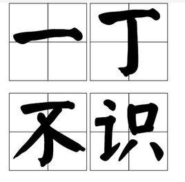 一丁不識 一丁不識