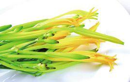 黃花菜食物中毒 黃花菜食物中毒