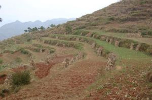 安小坪子自然村 安小坪子自然村