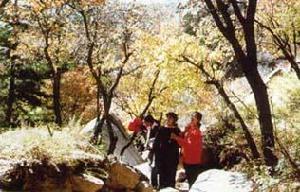 梅力更旅遊風景區 梅力更旅遊風景區