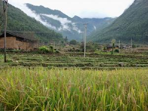 金江鎮安樂村 金江鎮安樂村