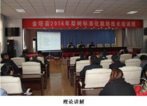 金塔縣林業局 金塔縣林業局