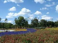 哈爾濱太陽島國家濕地公園 哈爾濱太陽島國家濕地公園