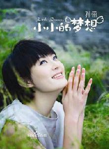 愛如空氣[孫儷演唱歌曲]