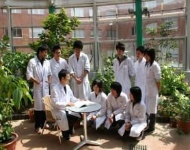 聖母院清心女子短期大學 聖母院清心女子短期大學