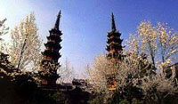 蘇州雙塔