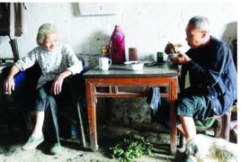 神仙奶奶 神仙奶奶