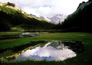 雙營子回族鄉 雙營子回族鄉