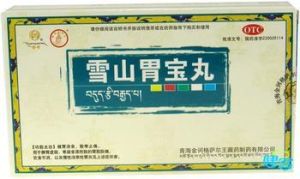 雪山胃寶丸
