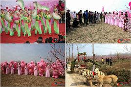 臨泉縣桃花藝術節 臨泉縣桃花藝術節