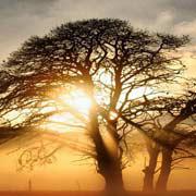 古劍仙緣[17K小說]