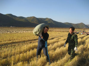 圖們經濟開發區